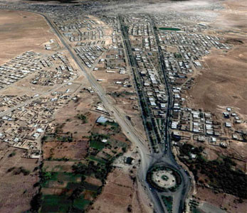 خرید فروش قیمت نهال در بیجار خرید فروش قیمت نهال در بیجار