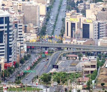 خرید فروش قیمت نهال در کرج خرید فروش قیمت نهال در کرج