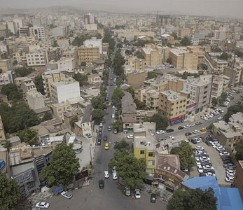 خرید فروش قیمت نهال در کرمانشاه خرید فروش قیمت نهال در کرمانشاه