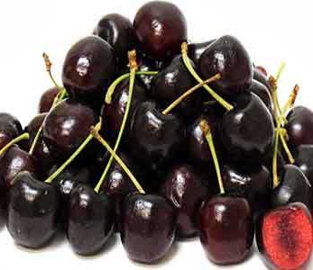 خرید نهال گیلاس سیاه خرید نهال گیلاس سیاه