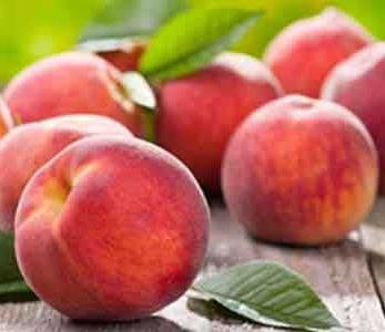 قیمت نهال هلو جی اچ هیل قیمت نهال هلو جی اچ هیل
