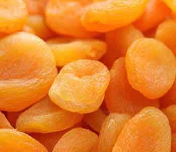 قیمت نهال زردآلو قیسی قیمت نهال زردآلو قیسی