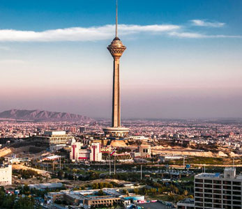 خرید فروش قیمت نهال در تهران خرید فروش قیمت نهال در تهران
