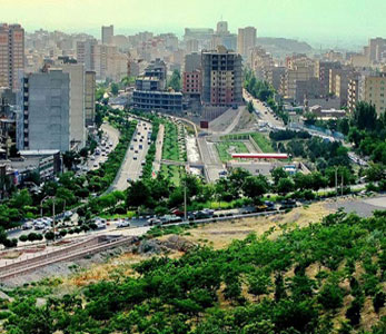 خرید فروش قیمت نهال در ارومیه خرید فروش قیمت نهال در ارومیه